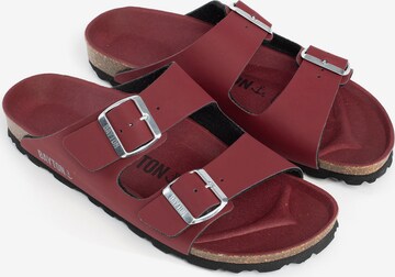 Bayton Mule 'Atlas' in Red