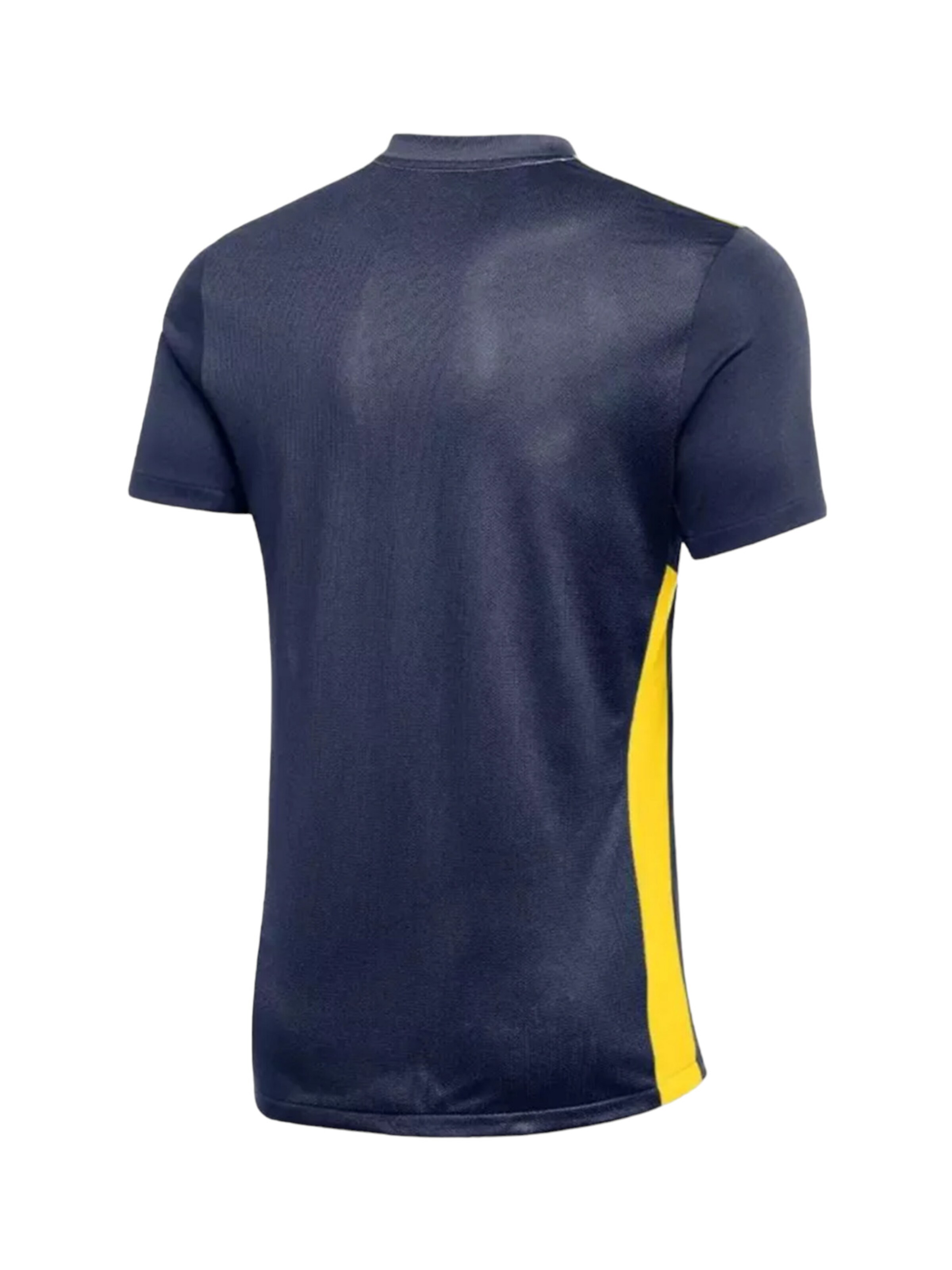 NIKE Performance Shirt in Blue