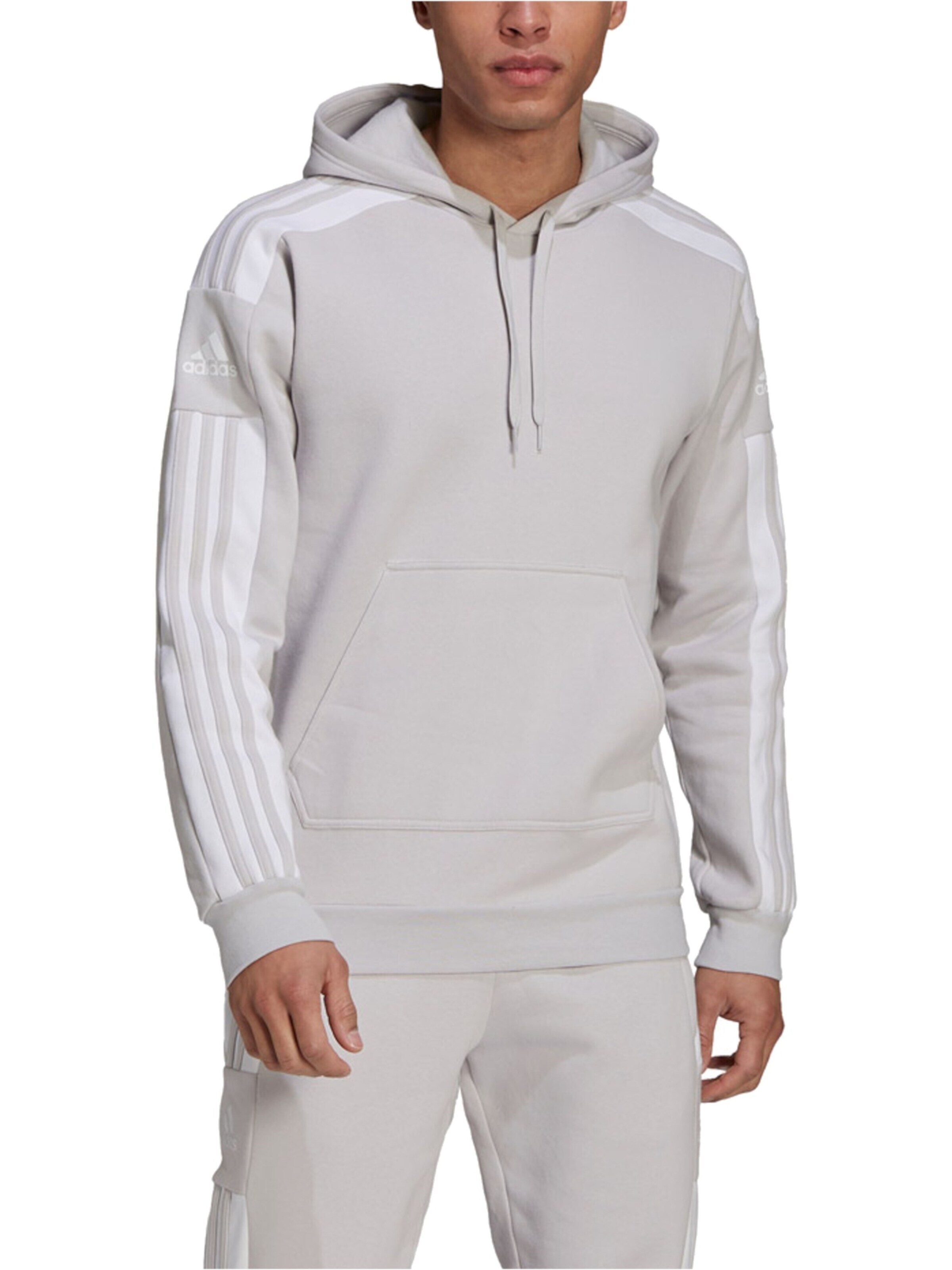 ADIDAS PERFORMANCE Sweatshirt 'Performance Squadra 21' in Grey: front
