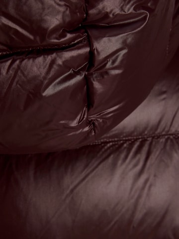 Veste mi-saison 'JCOCLUB' JACK & JONES en marron