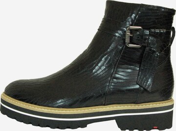 LLOYD Ankle Boots in Black