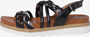 MARCO TOZZI Strap Sandals in Black