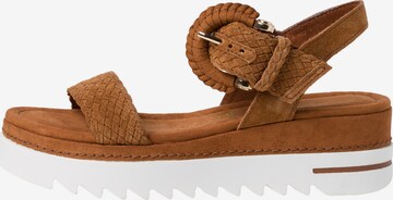 MARCO TOZZI Sandals in Brown