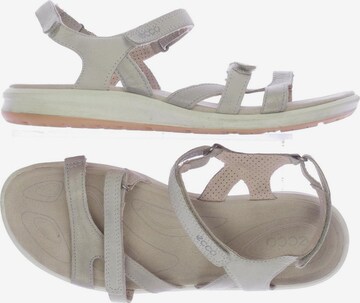ECCO Sandals & High-Heeled Sandals in 39 in Beige: front