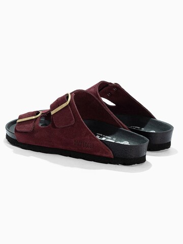 Mule 'Atlas' Bayton en rouge