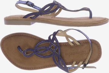TAMARIS Sandals & High-Heeled Sandals in 41 in Blue: front