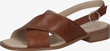 CAPRICE Sandale in Braun: Vorderseite