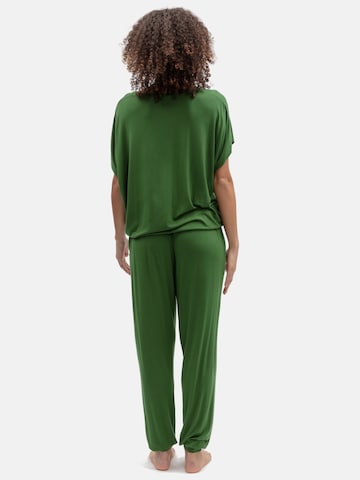 Cyberjammies Pyjamahose 'Charlie' in Grün