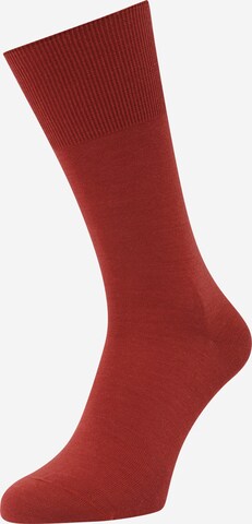 Chaussettes 'Airport' FALKE en rouge : devant