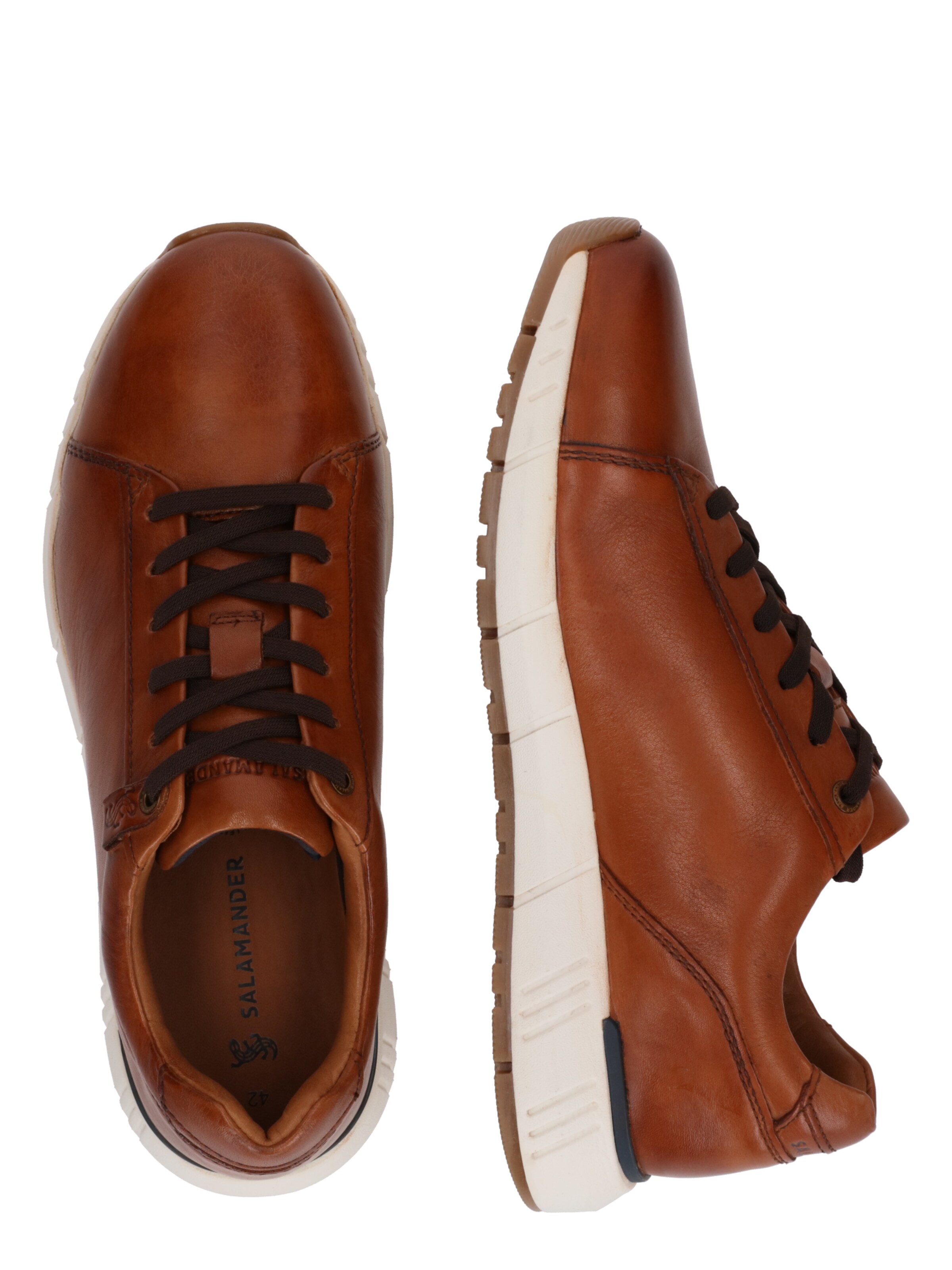SALAMANDER Låg sneaker i brun