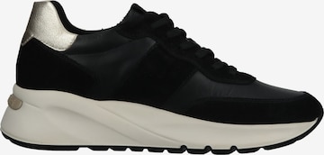 Nero Giardini Sneaker in Schwarz