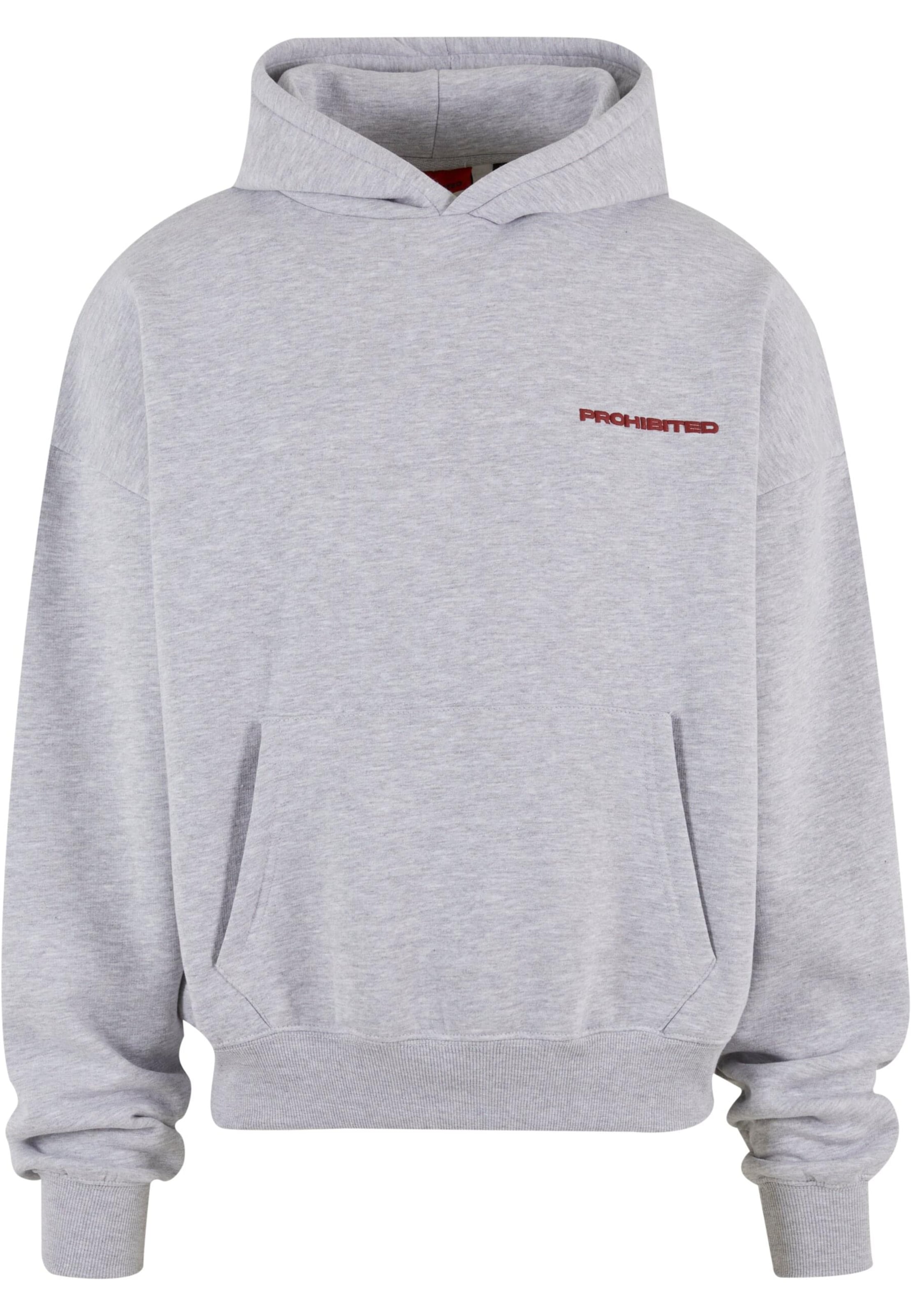 Sweat-shirt Prohibited en gris : devant