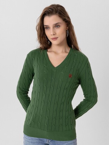 Jacey Quinn Pulover 'Joaquin' | zelena barva