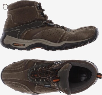 GEOX Sneakers & Trainers in 41 in Brown: front