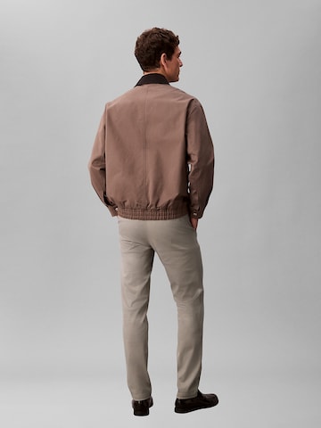 Calvin Klein Regular Chino Pants in Green