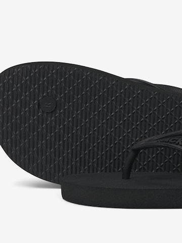 JACK & JONES T-Bar Sandals in Black