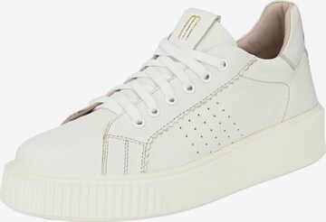 Baskets basses ' HARPER ' Crickit en blanc : devant