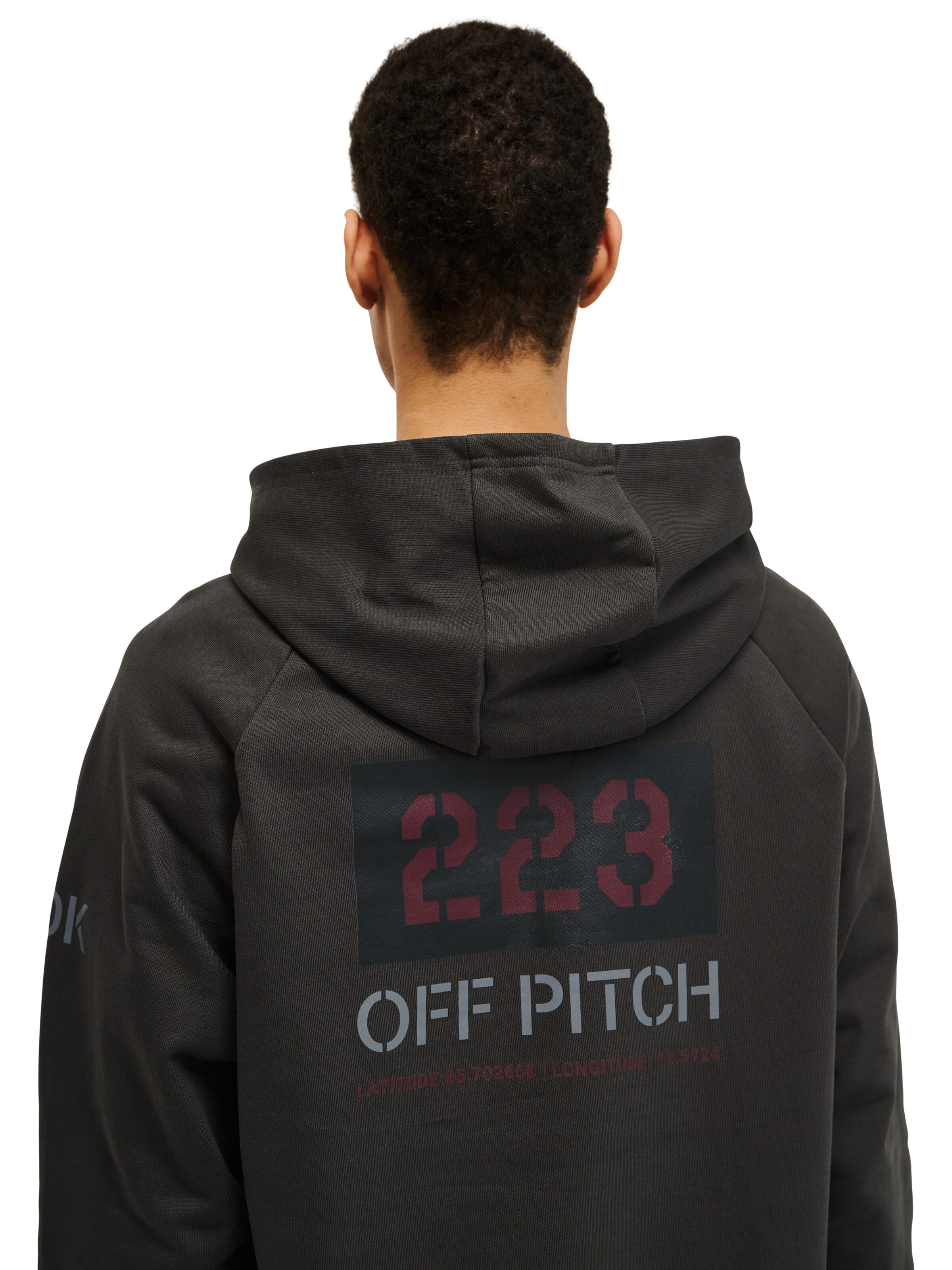 HALO Sweatshirt in Grey