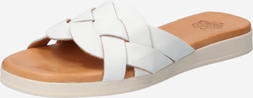 Apple of Eden Mules 'Halma' in White: front