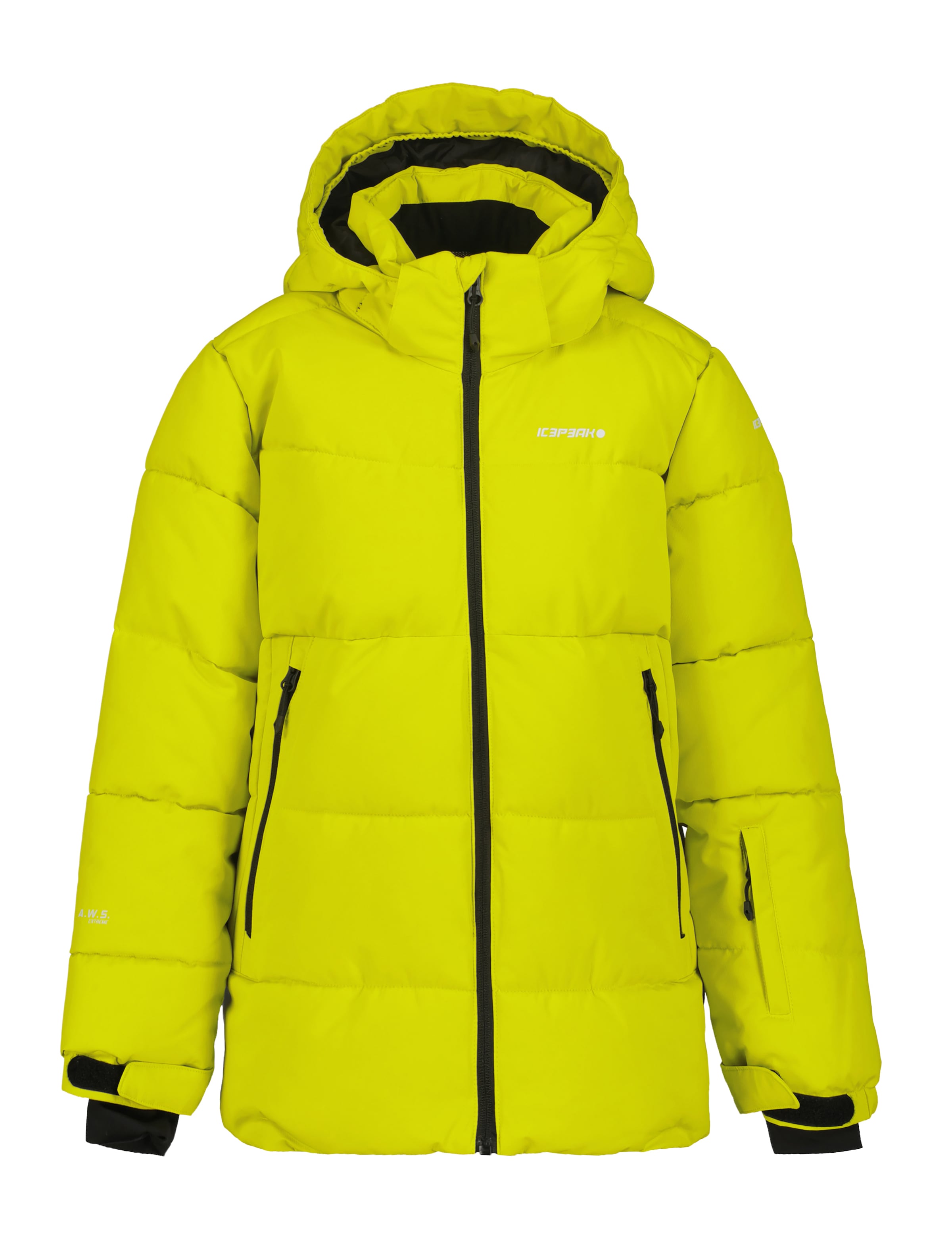ICEPEAK Outdoor jacket in Green: front