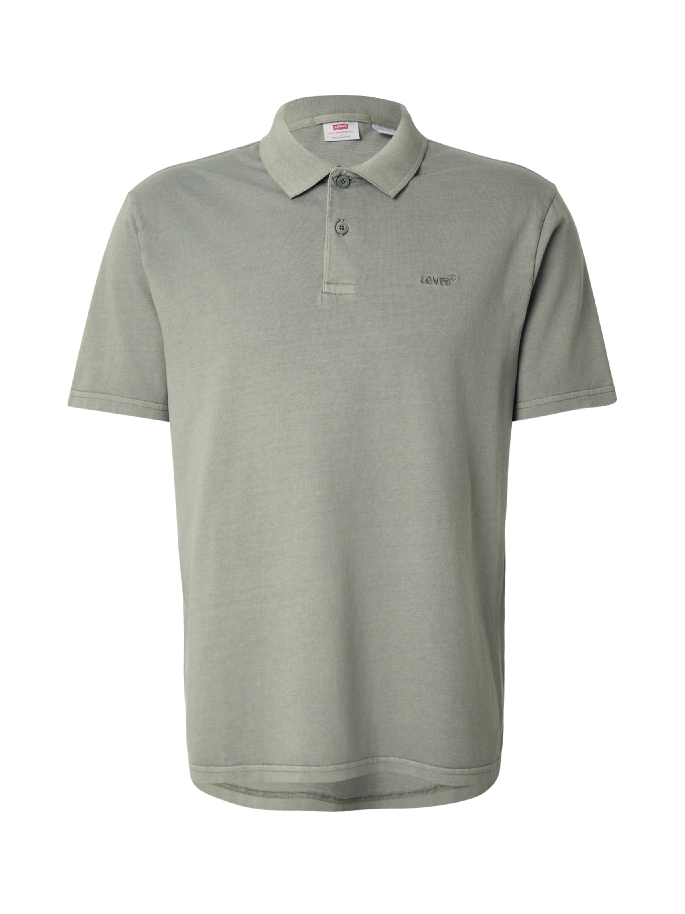 LEVI'S ® Shirt 'Authentic Polo' in Groen: voorkant