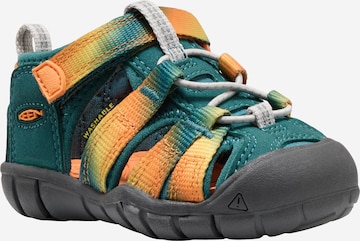 KEEN Sandals & Slippers in Mixed colors: front
