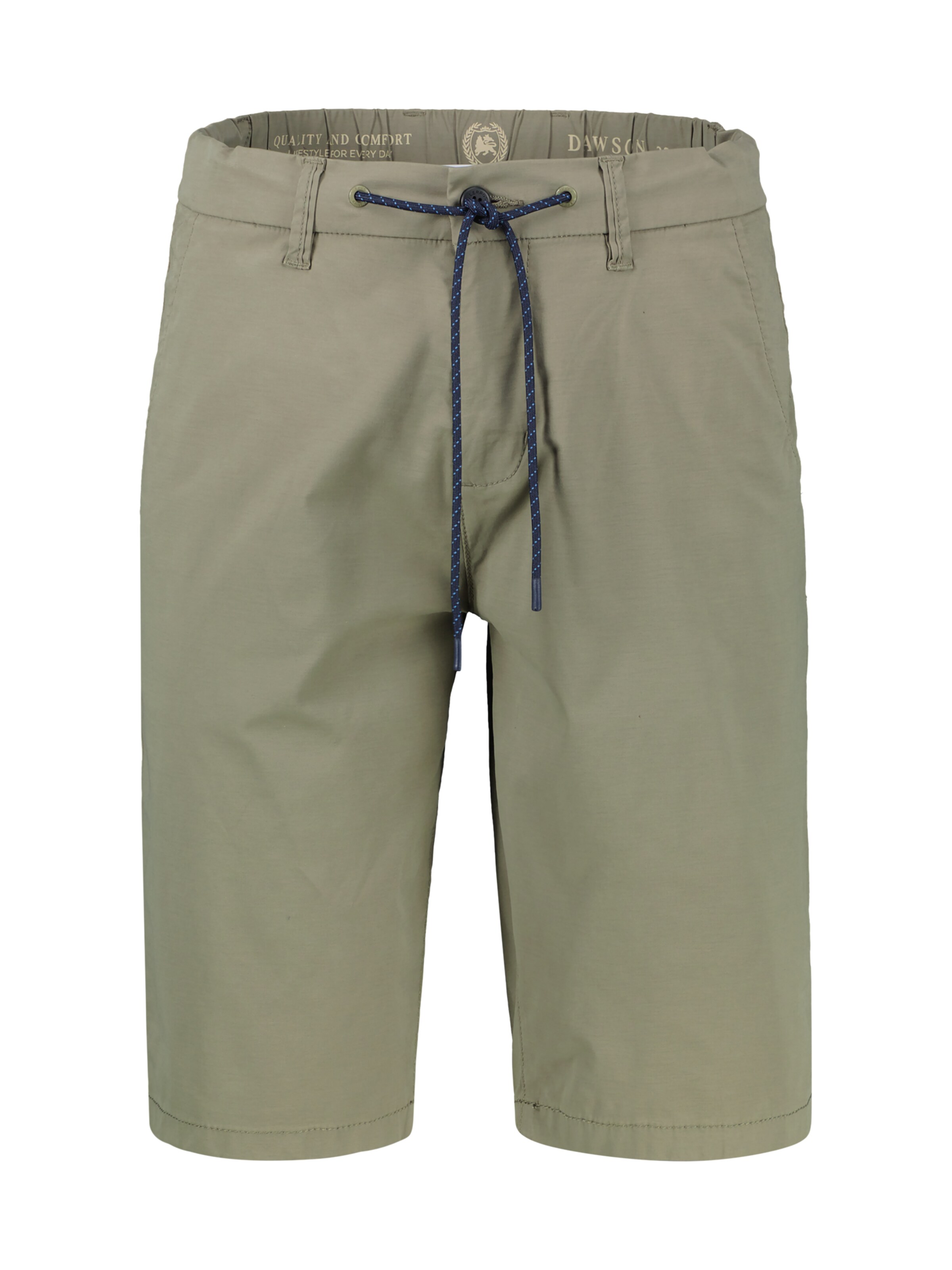 LERROS Regular Trousers in Green: front