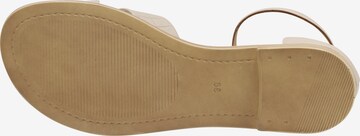 Sandales à lanières usha BLUE LABEL en beige