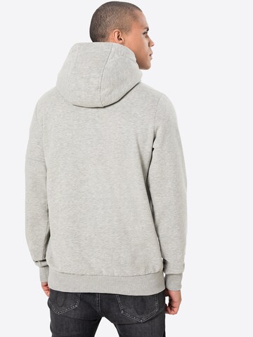 Fli Papigu Sweatshirt 'Tarek Haramburg' in Grey