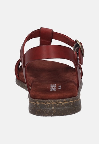 JOSEF SEIBEL Sandals in Red