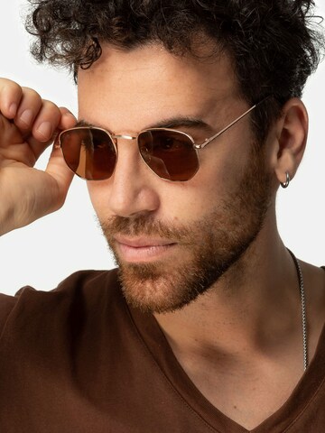 TWIG Concept Milano Sunglasses 'Roque' in Brown