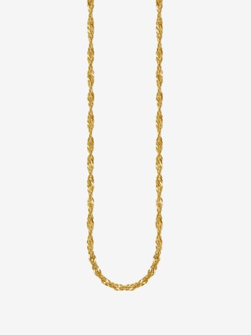 Thomas Sabo Kette in Gold: Vorderseite