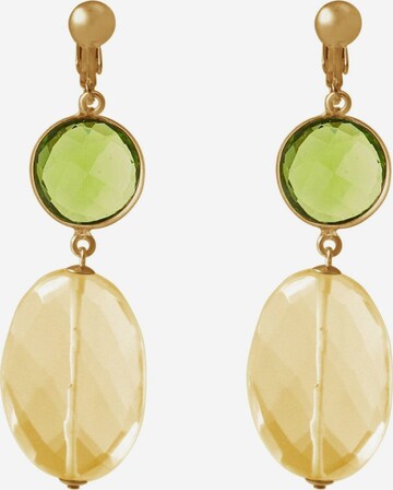 Gemshine Earrings in Gold: front