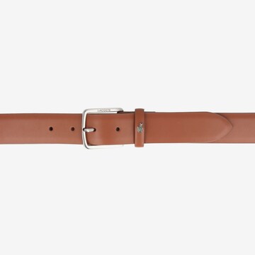 LACOSTE Belt in Brown