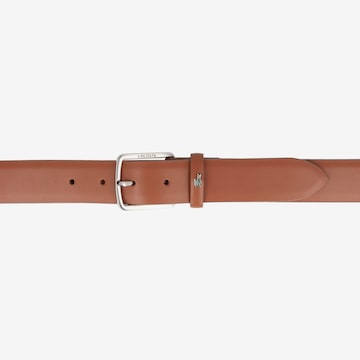 Ceinture LACOSTE en marron