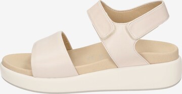 SIOUX Sandals ' Jurunisa-700 ' in Beige