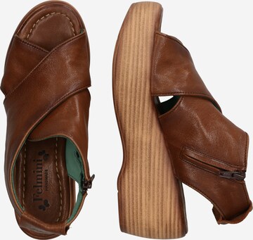 FELMINI Sandals 'Fiji' in Brown