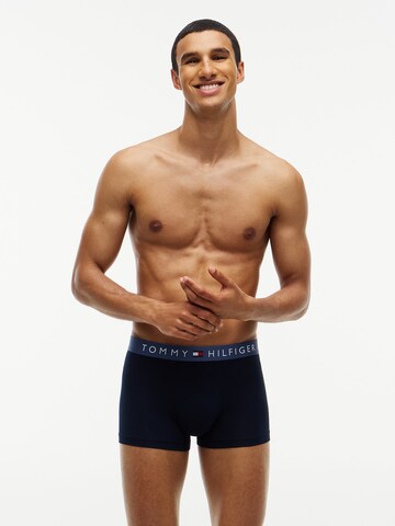 Tommy Hilfiger Underwear Boxer shorts in Blue
