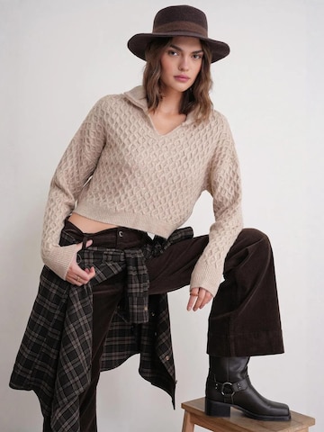 Pullover di MixRay in beige