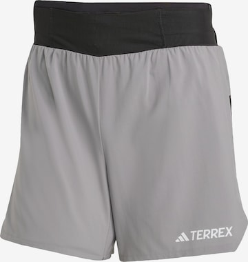 ADIDAS TERREX - regular Pantalón de montaña 'Xperior' en gris: frente
