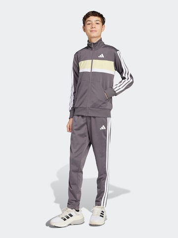 ADIDAS SPORTSWEAR Tréningruha 'Seasonal Essentials Tiberio' - szürke: elől