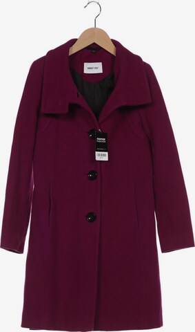 ABOUT YOU Jacket & Coat in XXS in Purple: front