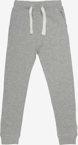MINYMO Regular Workout Pants in Grey