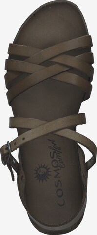 COSMOS COMFORT Sandalen met riem in Groen