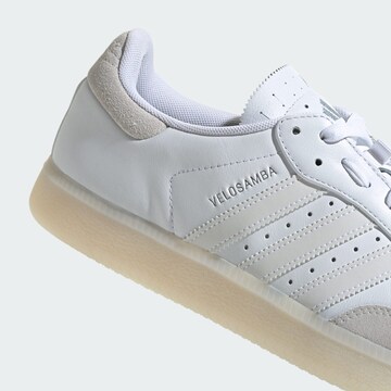 ADIDAS PERFORMANCE Sportschoen 'Velosamba' in Wit