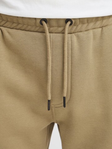 BLEND - regular Pantalón ' BHDowntown ' en marrón