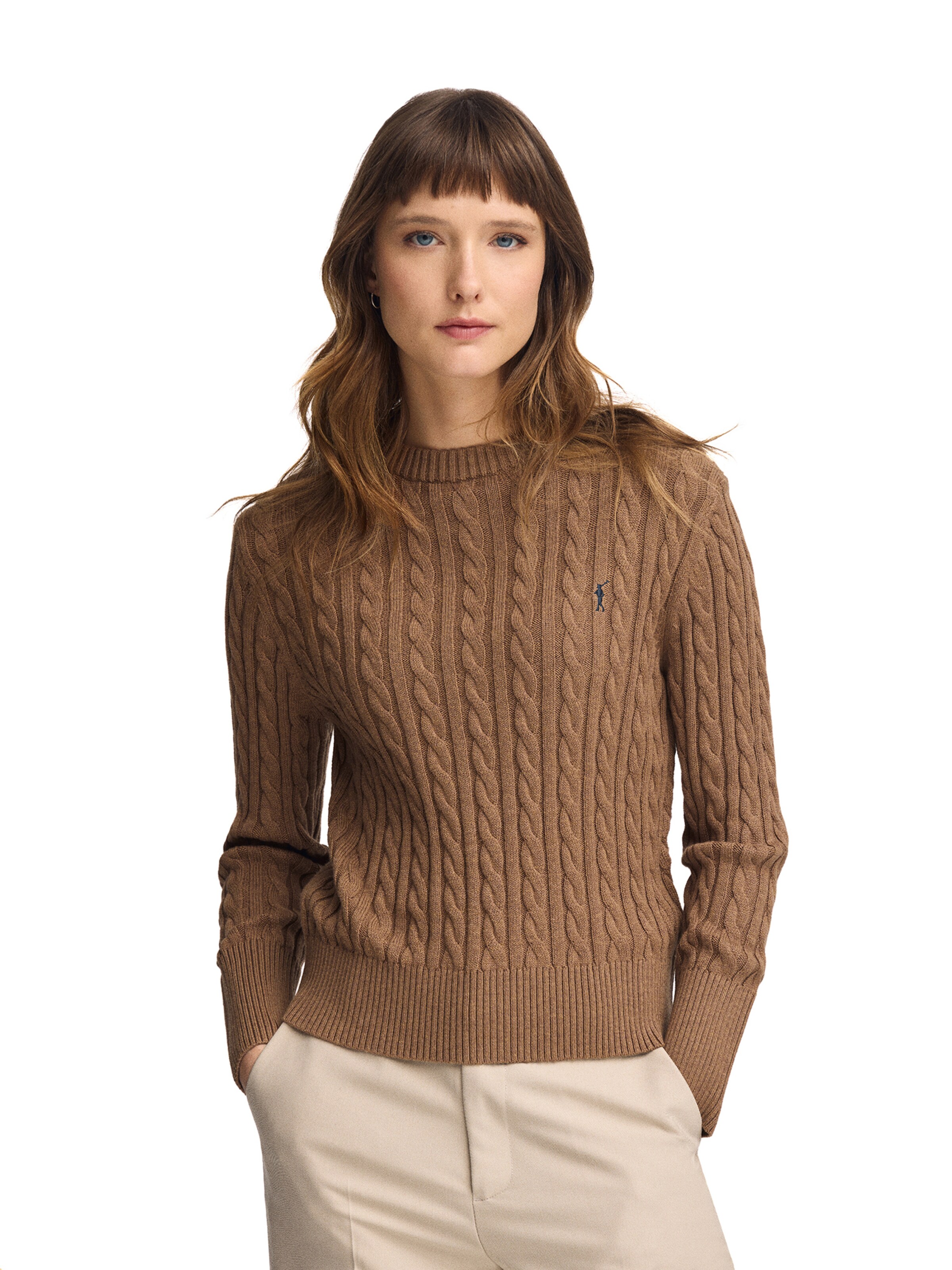 Polo Club Sweater in Brown