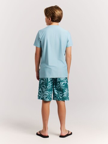 PROTEST Badeshorts 'PRTWilliam JR' in Blau