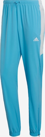 ADIDAS SPORTSWEAR Regular Sports trousers in Blue: front