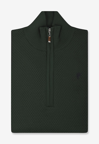 DENIM CULTURE Sweater 'Giotto' in Green